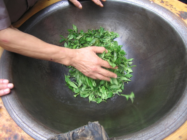 Drying the Longjing tea