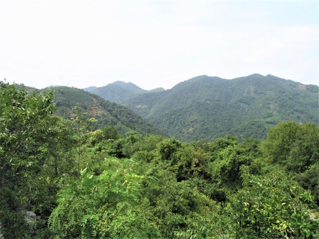 Longjing mountains