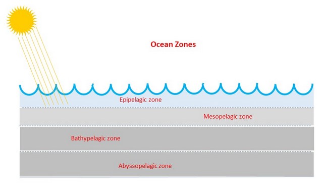 Climate change Oceans
