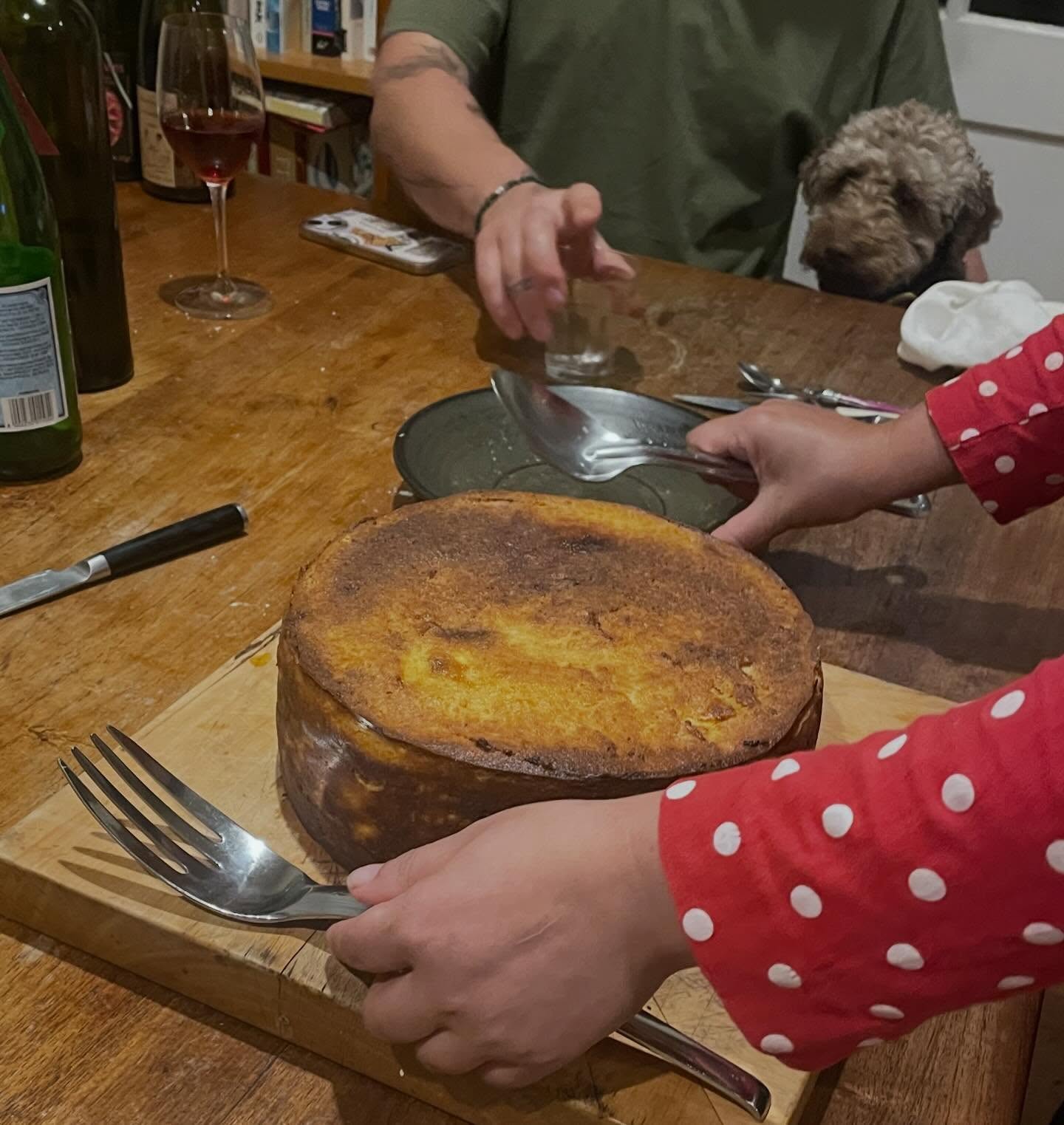 And well might you look longingly Kina - it was very delicious but not really suitable for dogs! Visit @analiesegregory’s profile to see what was inside.